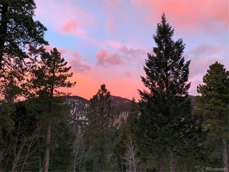 7942 Kunst Rd, Golden, CO 80403
