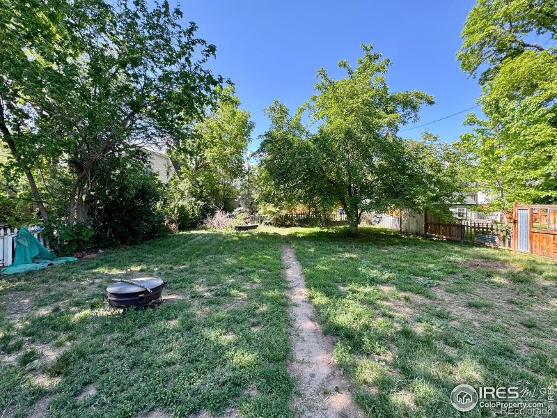 508 Oak St, Windsor, CO 80550
