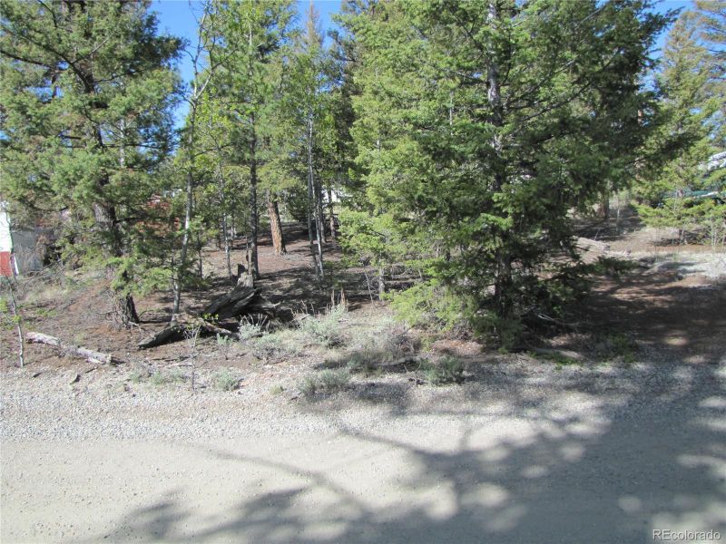 240 Pullman Loop, Hartsel, CO 80449