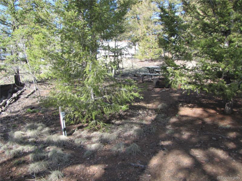 240 Pullman Loop, Hartsel, CO 80449