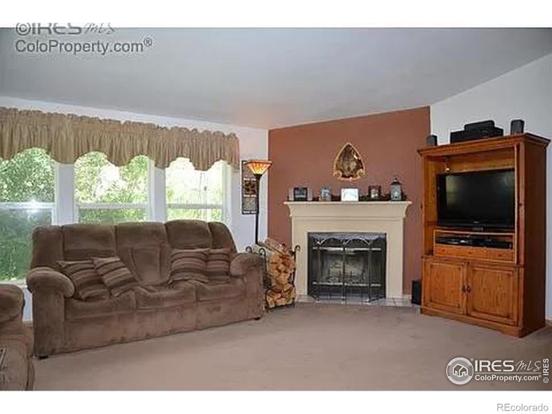 330 Snow Top Dr, Drake, CO 80515