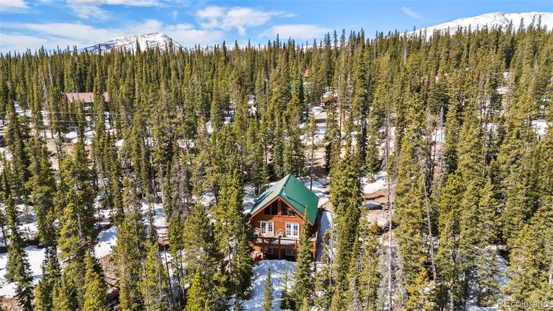 270 Miners Way, Fairplay, CO 80440