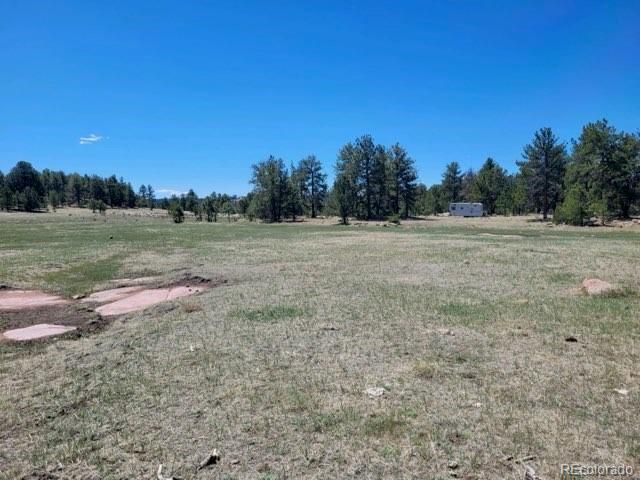 495 Ring Rd, Guffey, CO 80820