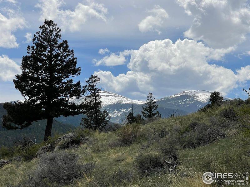 17665 Highway 7, Lyons, CO 80540