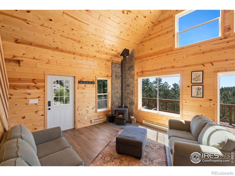 203 Mount Elbert Ct, Livermore, CO 80536