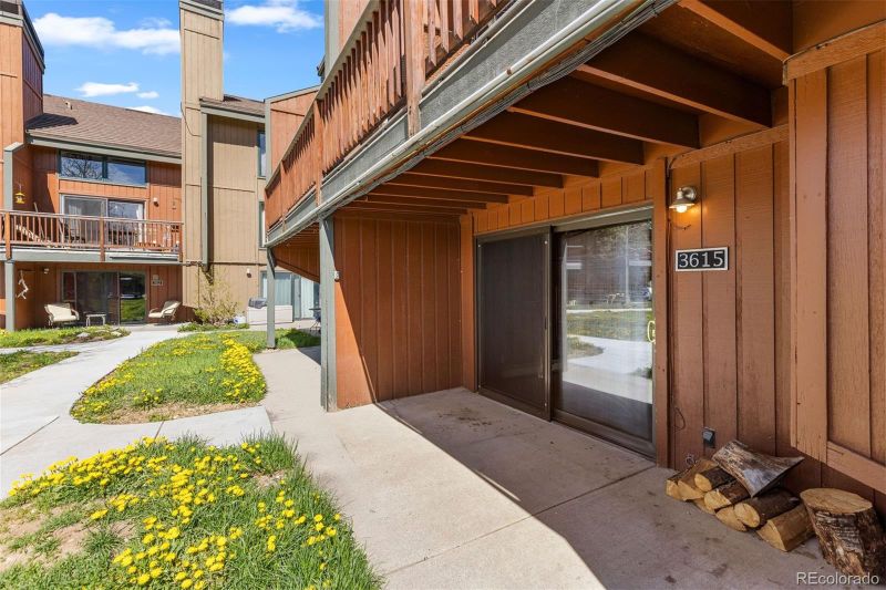 3615 Ryan Gulch Rd #3615, Silverthorne, CO 80498
