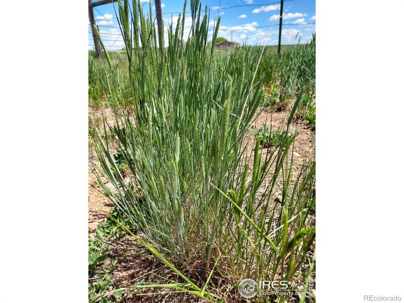 13080 N County Rd 15, Wellington, CO 80549
