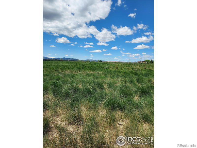 13080 N County Rd 15, Wellington, CO 80549