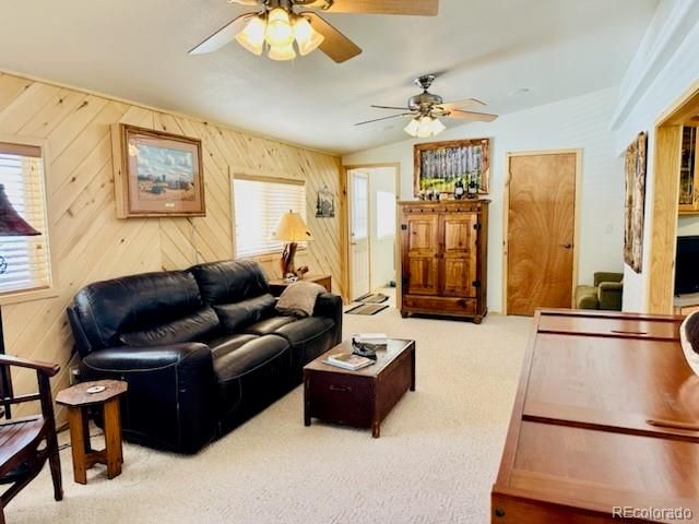 20 Okie Ln, South Fork, CO 81154