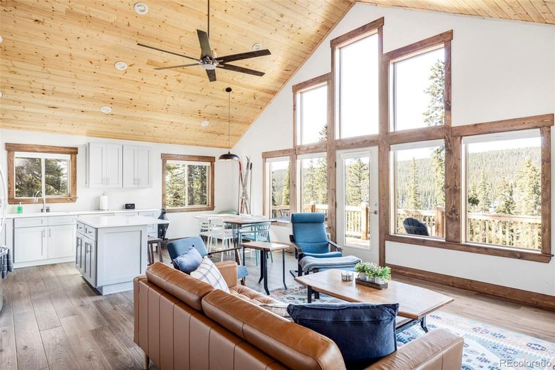 1207 Guymard Rd, Fairplay, CO 80440