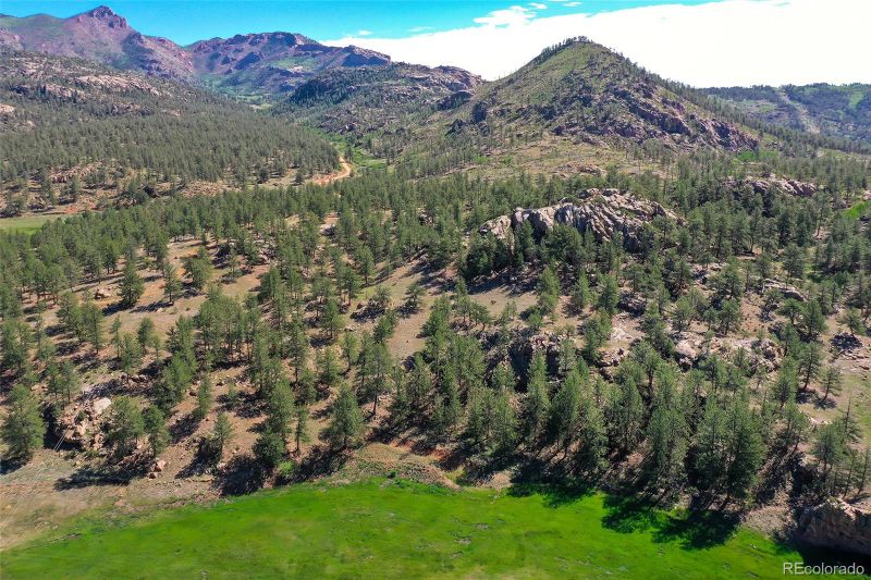 368 Cr 211, Lake George, CO 80827