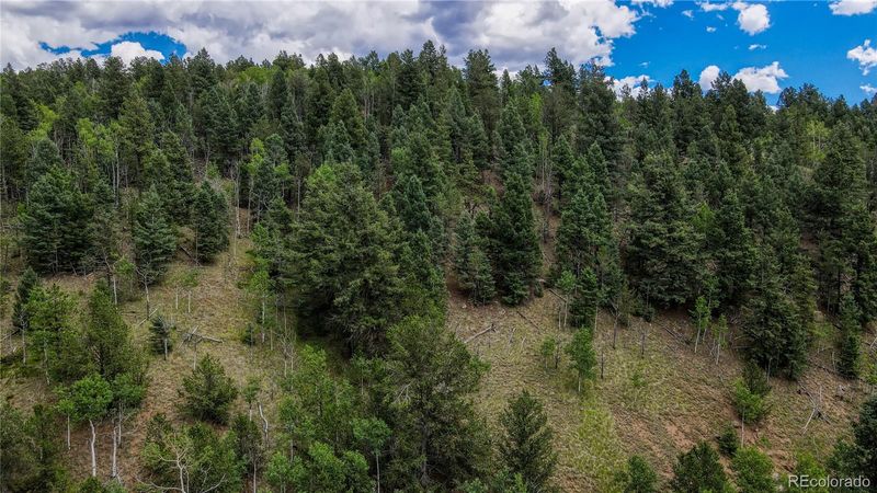 762 Little Topsey Dr, Cripple Creek, CO 80813