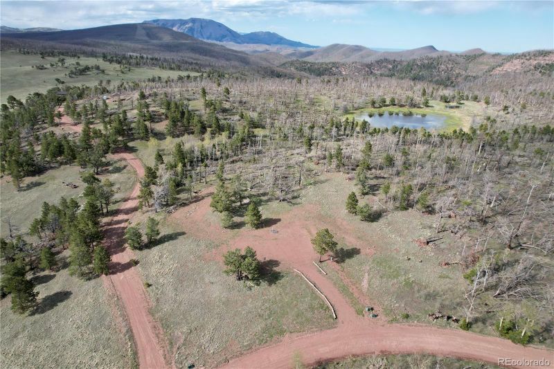 2118-2119 Packer Pl, Fort Garland, CO 81133