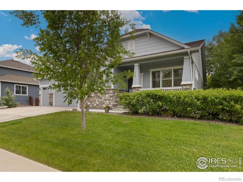 5813 Glendive Ln, Timnath, CO 80547