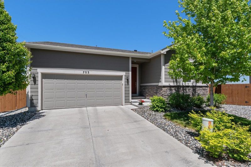 703 Pine Warbler Ct, Castle Rock, CO 80104