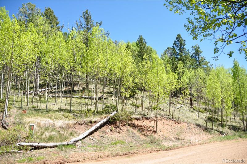 1929 Golden Cycle Cir, Cripple Creek, CO 80813