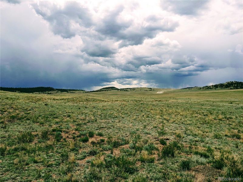 42 Vitorio Trl, Hartsel, CO 80449