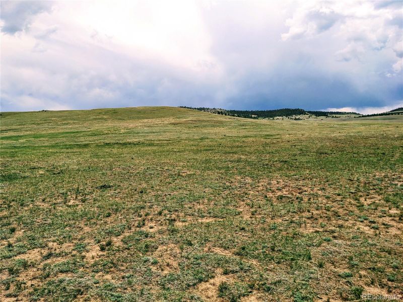 42 Vitorio Trl, Hartsel, CO 80449