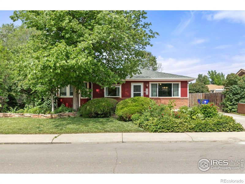 590 Pine Dr, Windsor, CO 80550