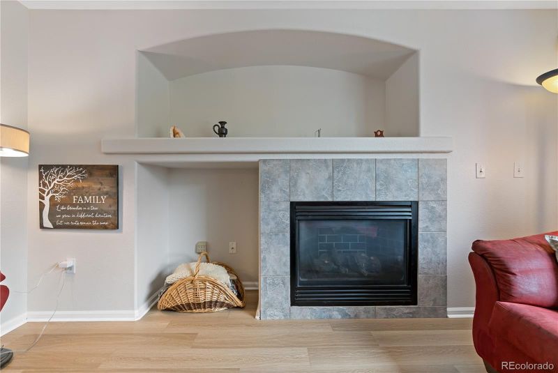 5015 Bayou Gulch St, Parker, CO 80134