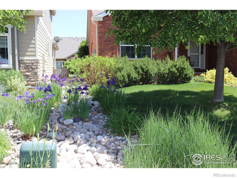 1679 Green River Dr, Windsor, CO 80550