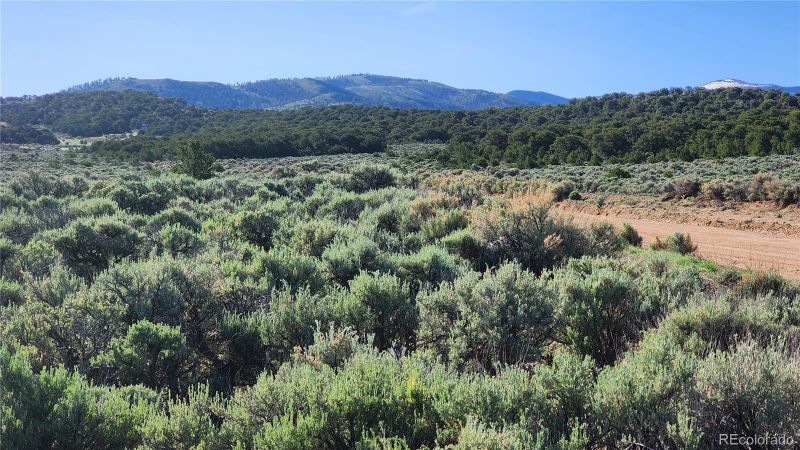 1691 Luke Rd, Fort Garland, CO 81133