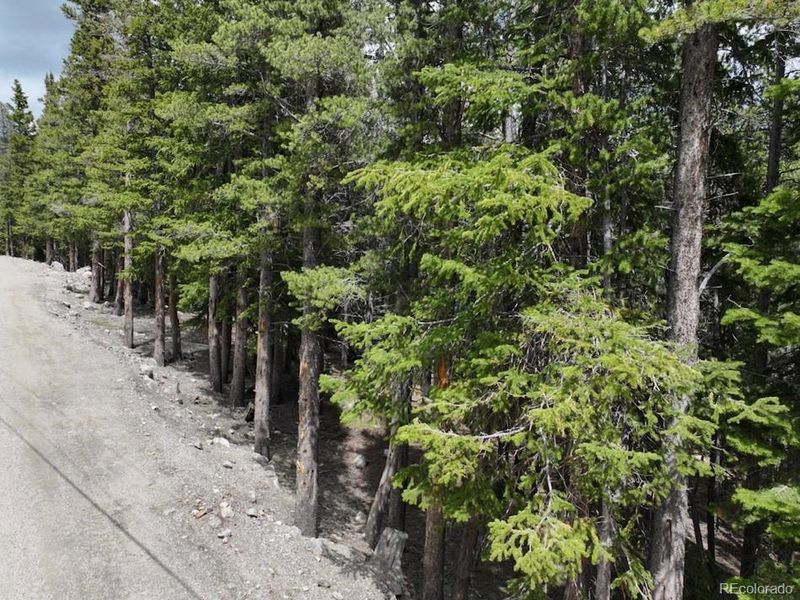 Lake Rd, Idaho Springs, CO 80452