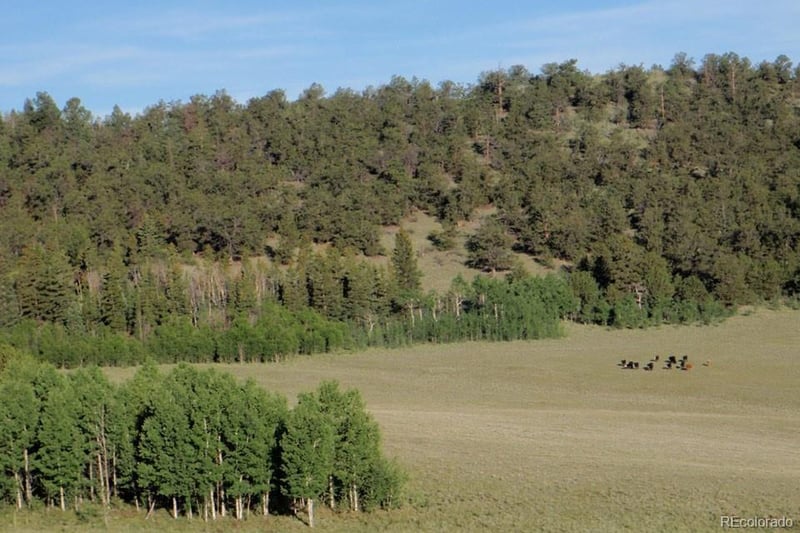 1185 County Road 734, Fairplay, CO 80440