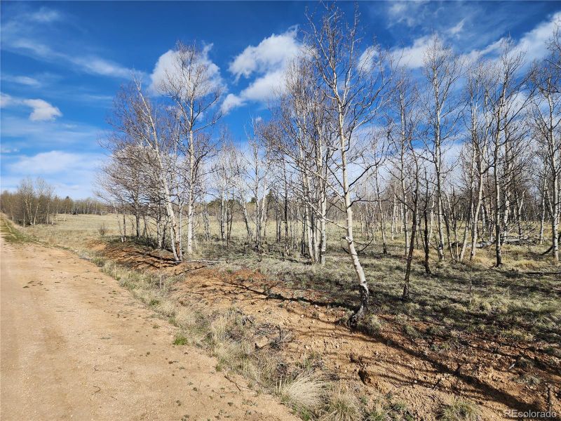 145 Arapahoe Cir Lot 14, Jefferson, CO 80456