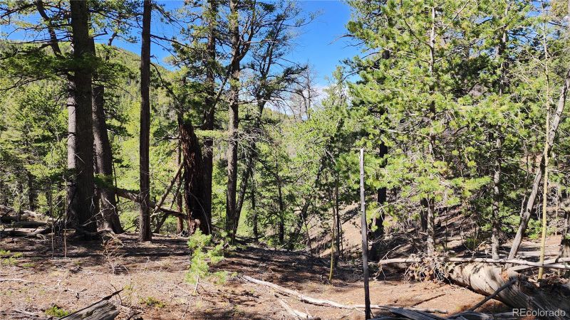 6763 Kerrigan Rd, Fort Garland, CO 81133