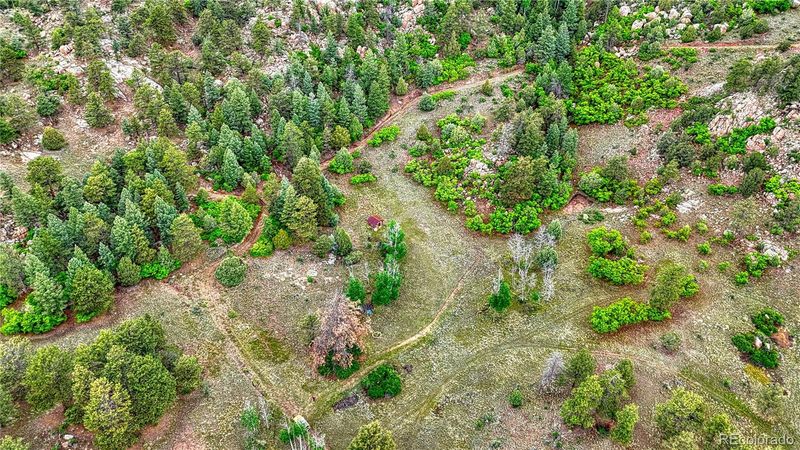 696 Wavelyn Ann Dr, Florissant, CO 80816