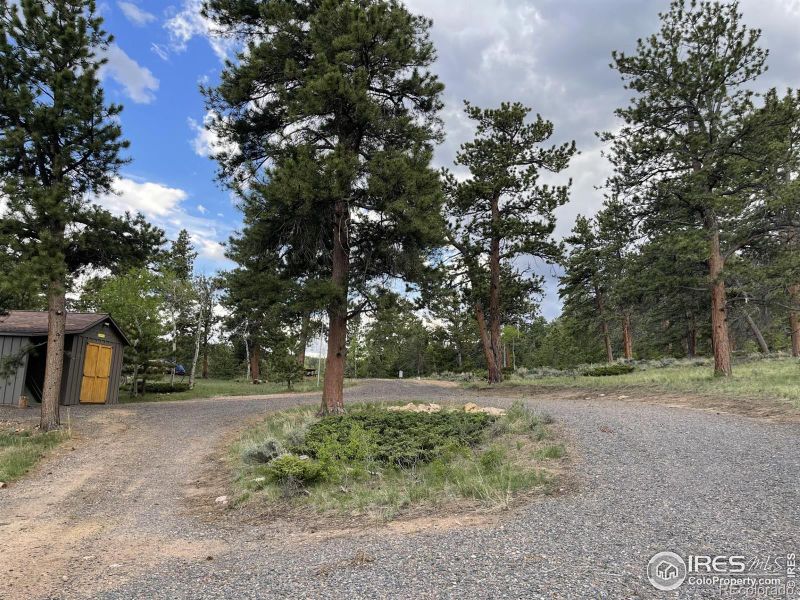 25 Shawnee Rd, Red Feather Lakes, CO 80545