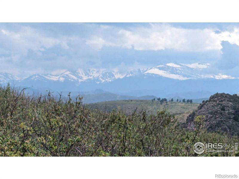866 Rainbows End, Livermore, CO 80536