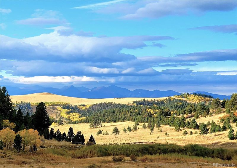2611 Antelope Trl, Cotopaxi, CO 81223