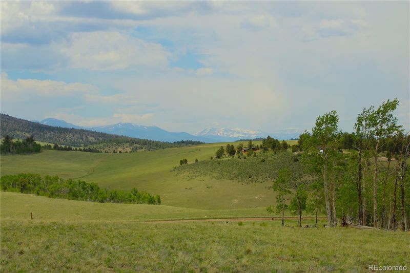 1032 Bolster Dr Lot 1146, Hartsel, CO 80449