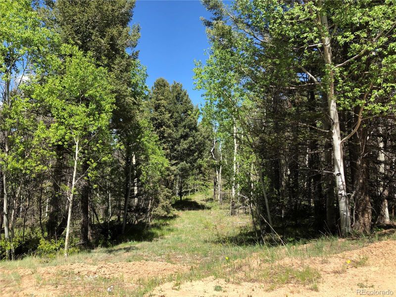 77 Timberline Ct, Guffey, CO 80820