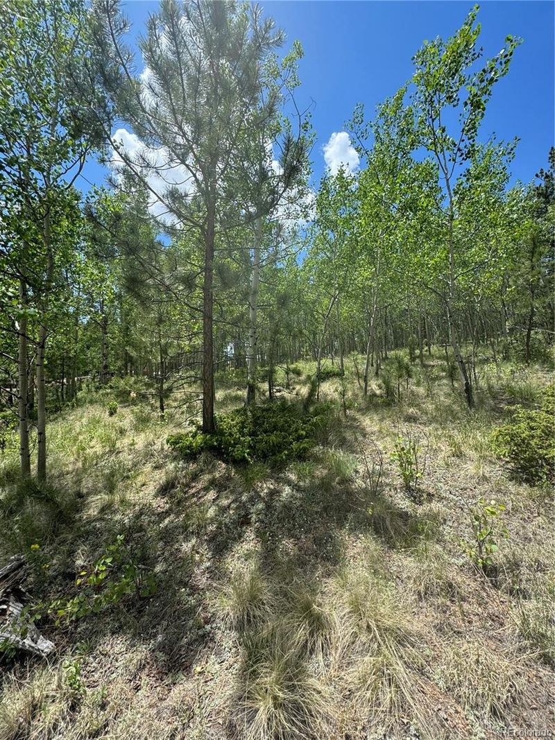 64 Rattler Way, Cripple Creek, CO 80813