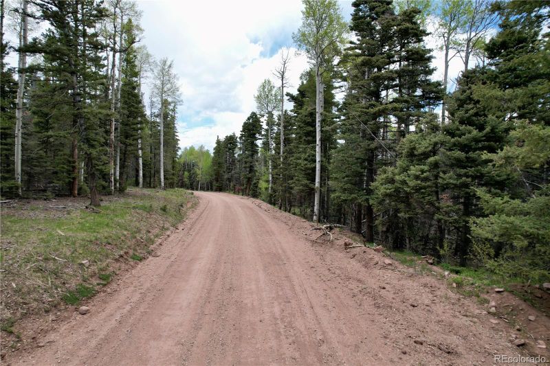 3107 Henderson Dr, Fort Garland, CO 81133
