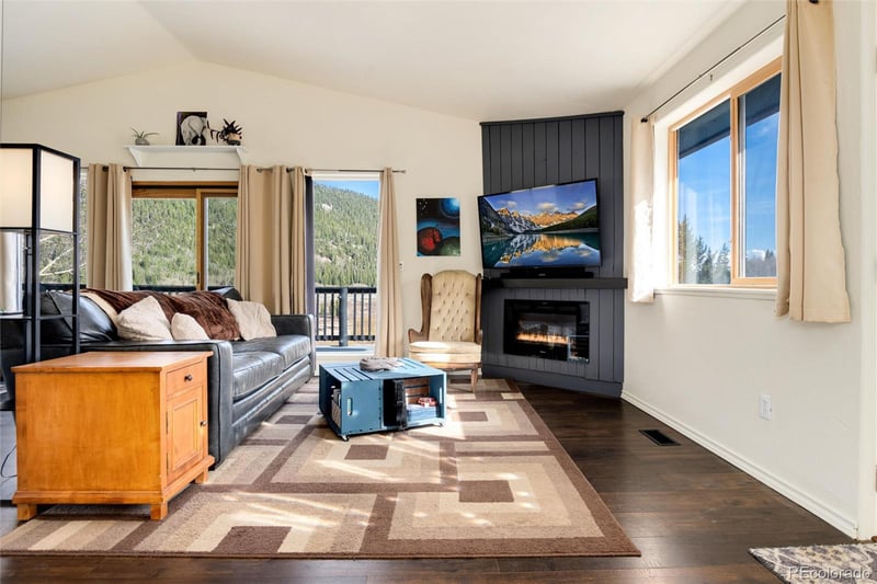 1371 County Road 6, Alma, CO 80420