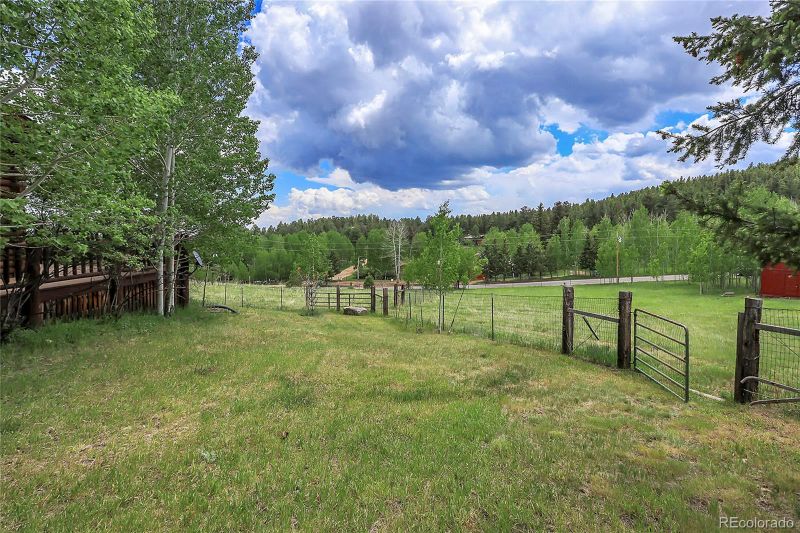 347 S Pine Dr, Bailey, CO 80421