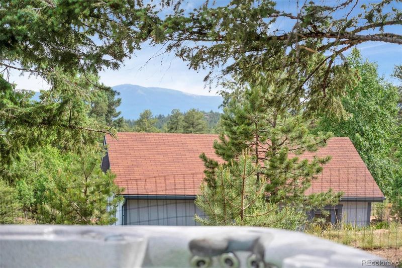 34625 Iroquois Trl, Pine, CO 80470