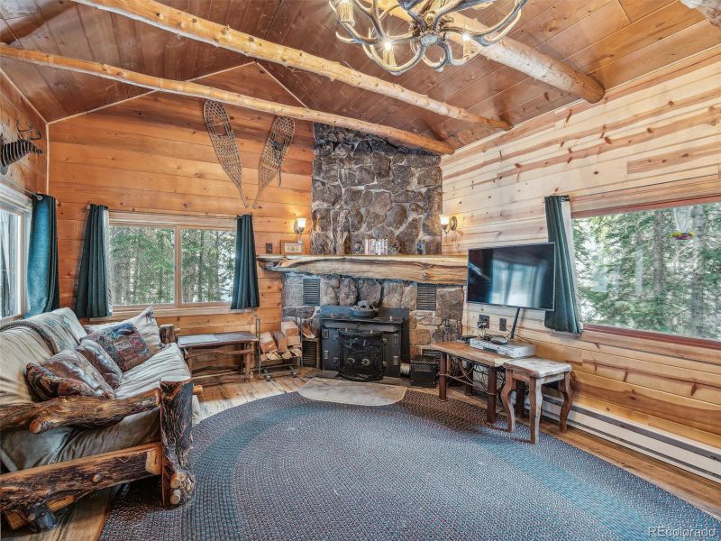 8995 Carol Ln, Conifer, CO 80433