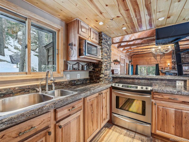 8995 Carol Ln, Conifer, CO 80433