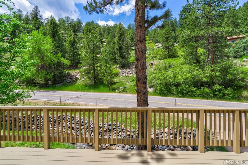 9598 S Turkey Creek Rd, Morrison, CO 80465