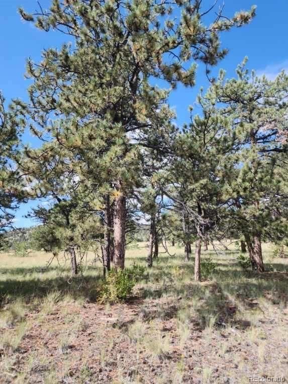 617 Boulder Rd, Hartsel, CO 80449