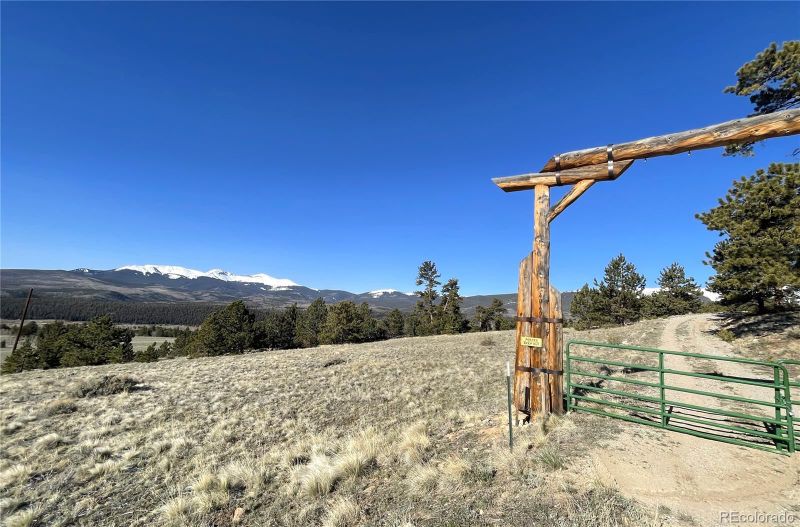 5657 County Rd 5, Fairplay, CO 80440
