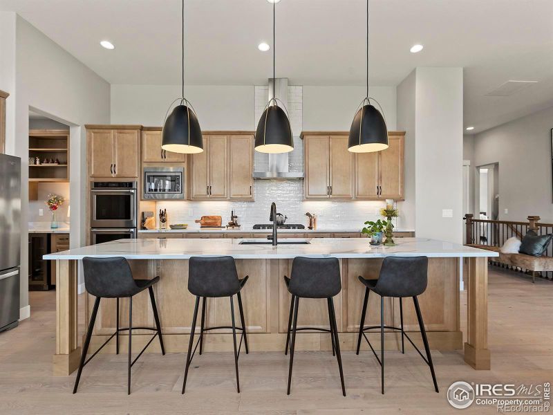 1087 Larimer Ridge Pw, Timnath, CO 80547