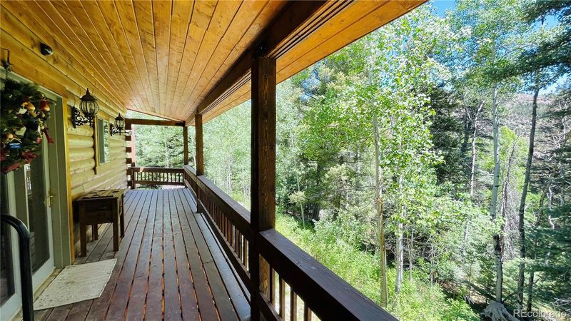 1306 Clarke Mountain Ln, Antonito, CO 81120