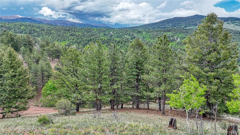 358 El Paso Ct, Cripple Creek, CO 80813