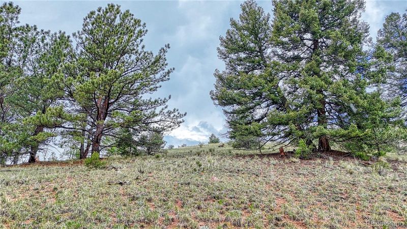 358 El Paso Ct, Cripple Creek, CO 80813